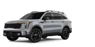 Larry Stovesand Kia in Carbondale IL